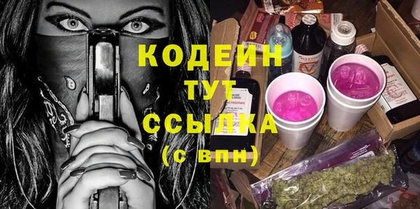 спиды Богородицк