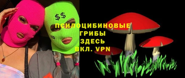 мдма Богданович