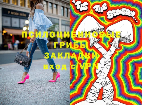 спиды Богородицк