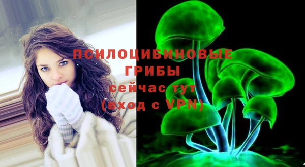 мдма Богданович